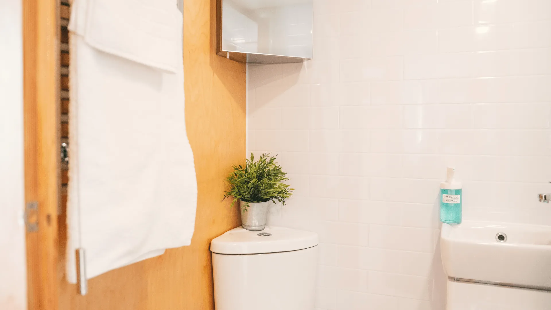 Shower room facilities inside Beach Lodge