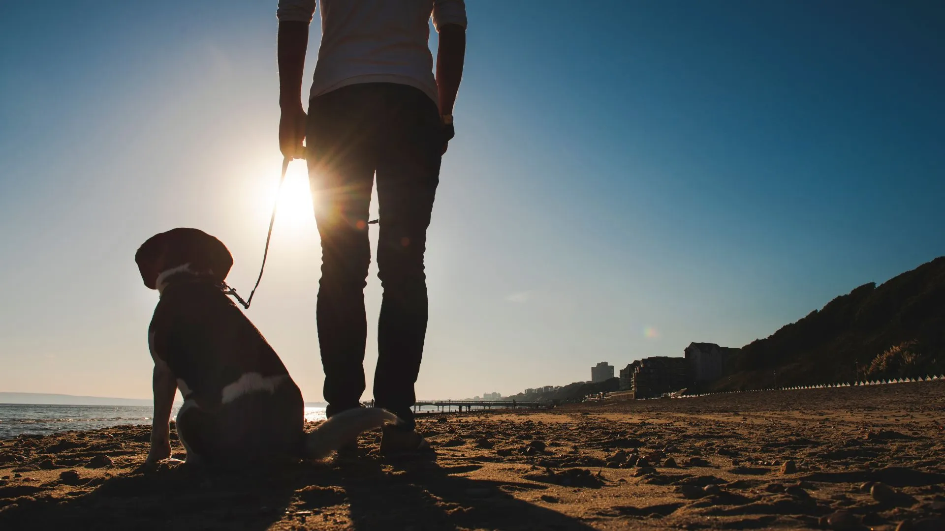 Man and dog walking along Boscombe Beach enjoying glorious winter sun