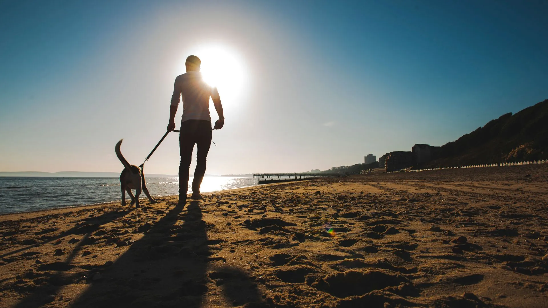 Man enjoying a beach walk with his dog