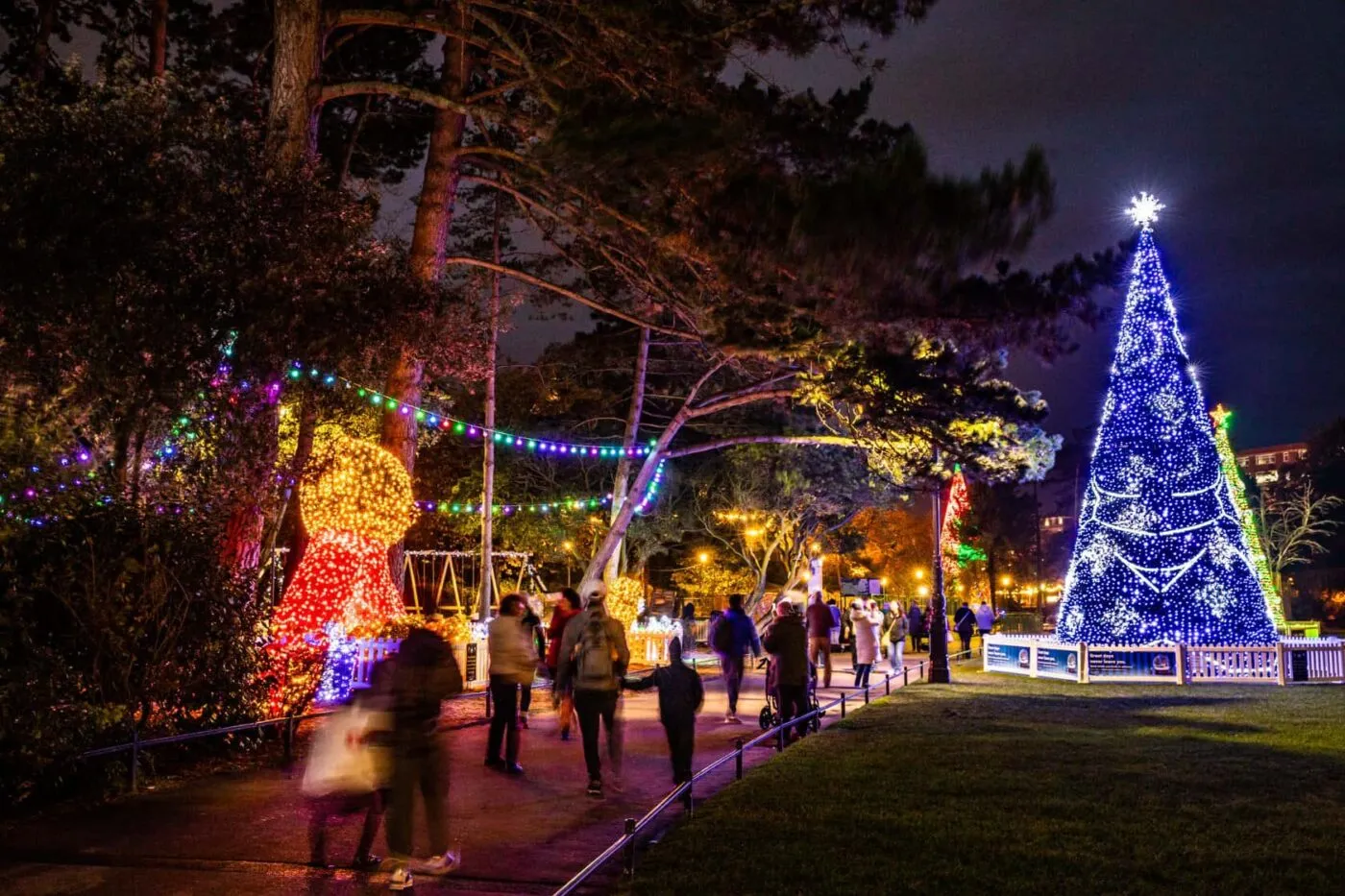 Twinkling lights and displays by Lower Gardens during Christmas Tree Wonderland