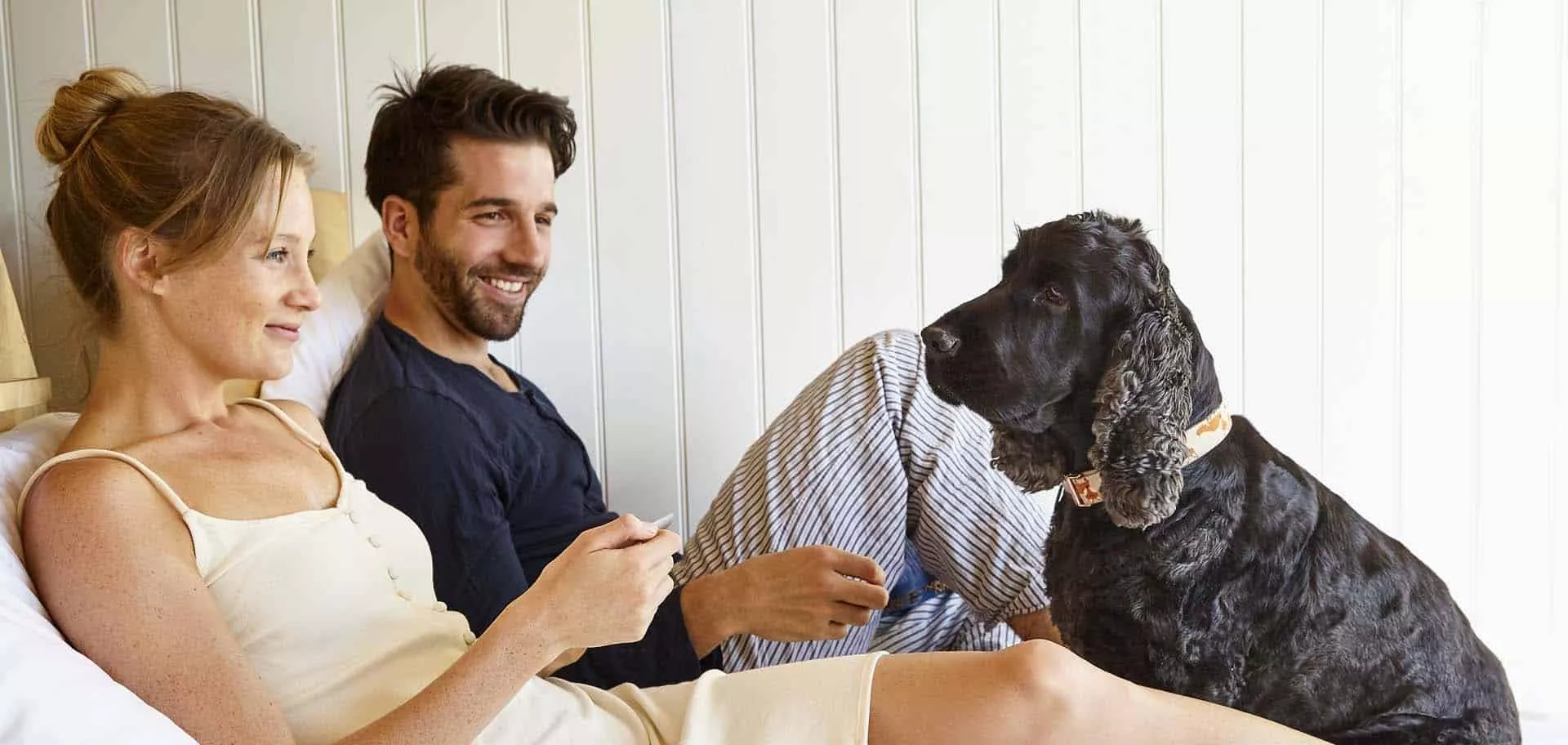 lodge guests relaxing with their lovely spaniel on their day bed