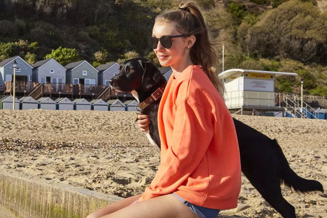 Teenage and gorgeous dog on Lodge beach in Bournemouth