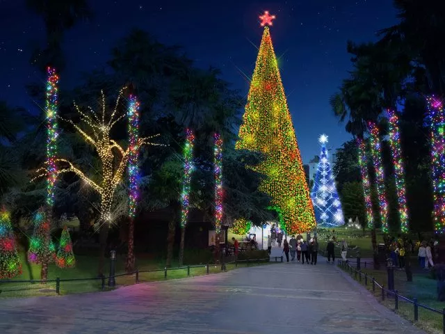 Christmas Tree Wonderland trail in the gardens